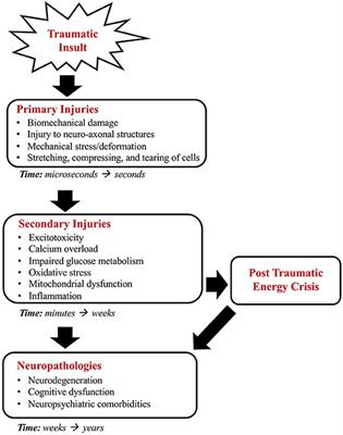 The Therapeutic Potential and Limitations of Ketones in Traumatic Brain Injury